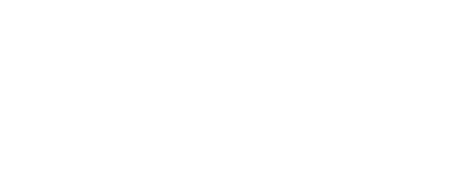 The_metawellsociety